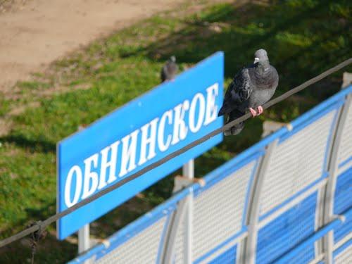 Электричка обнинск малоярославец