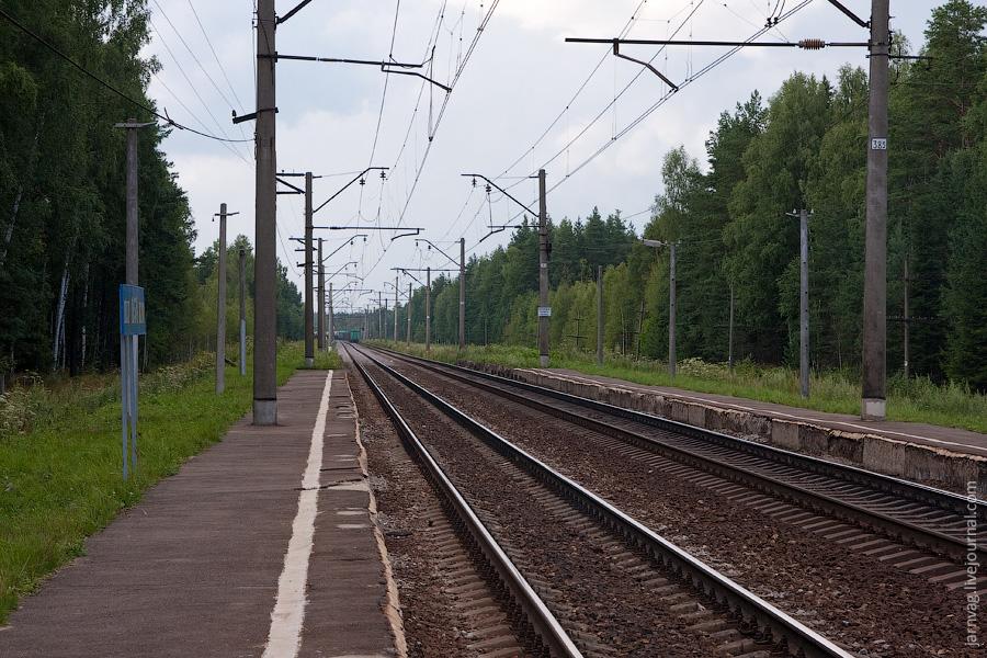 Электрички орехово нижегородская. Станция Санино БМО. Платформа Илейкино БМО. Станция Илейкино Владимирской области. Санино (платформа БМО).