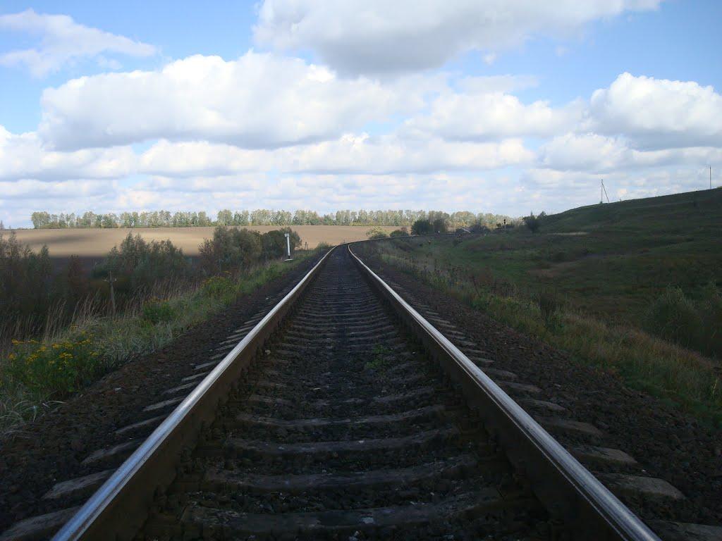 Станция перегон. Гречаны.