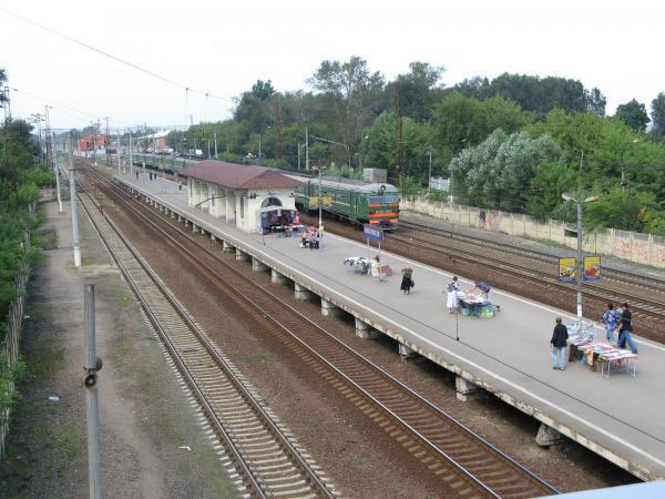 Железнодорожный электроугли