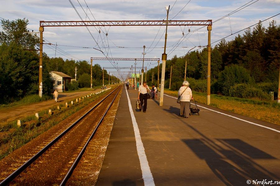 Анциферово новгородская