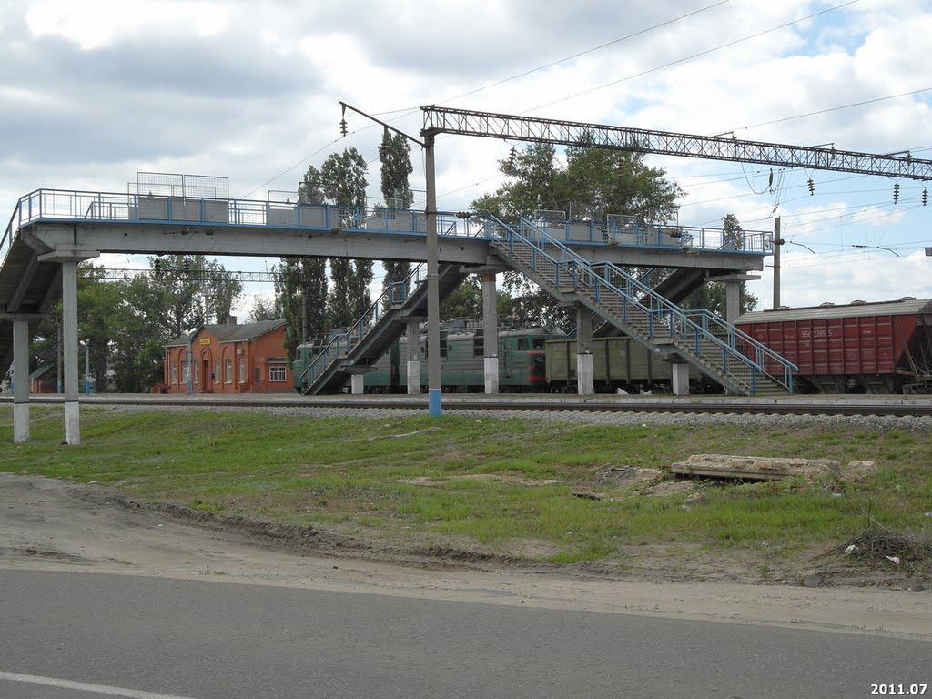 Погода в воронеже сомово