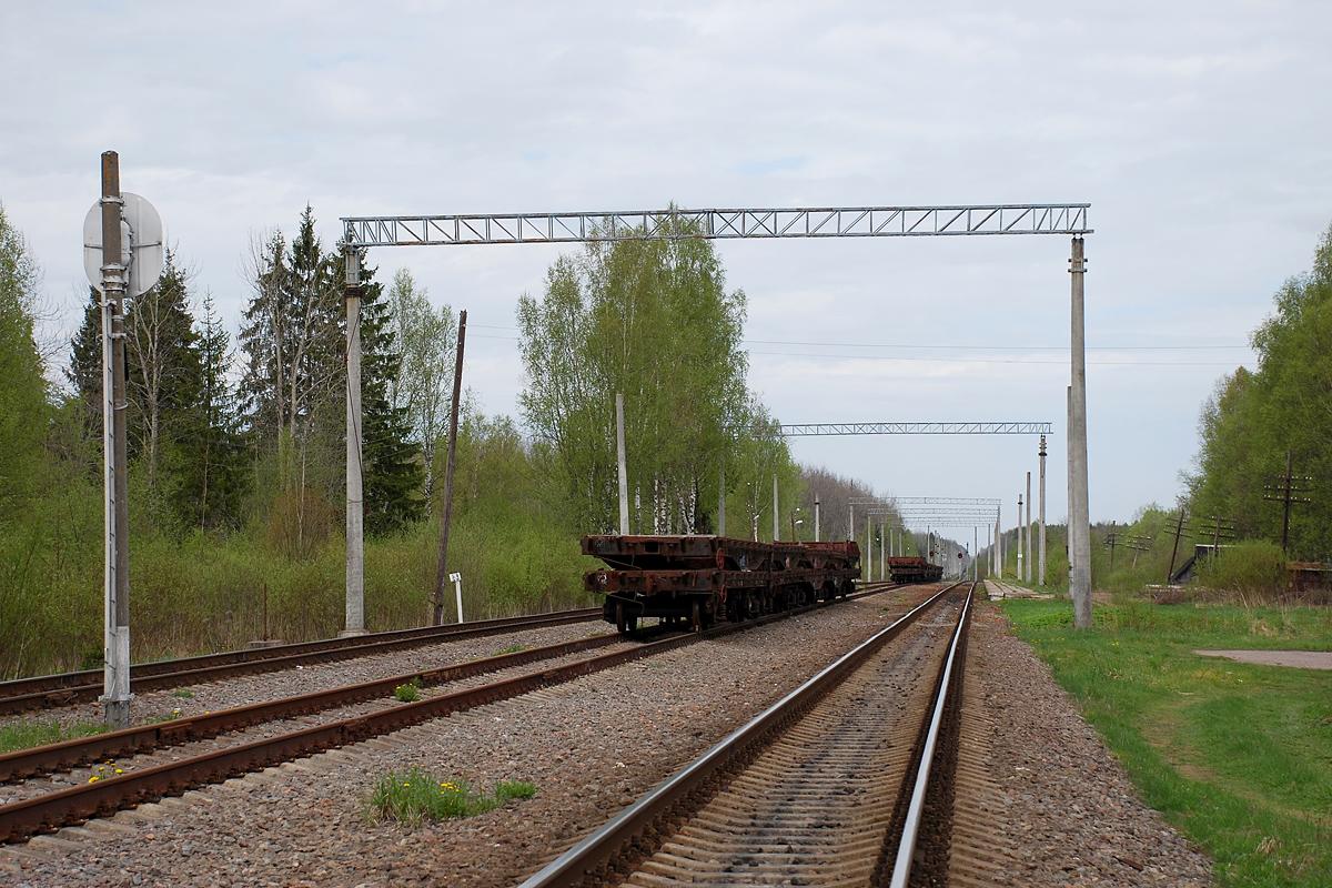 Расписание электричек новолисино санкт петербург на завтра